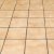 Parks Tile & Grout Cleaning by Premier Carpet Cleaning